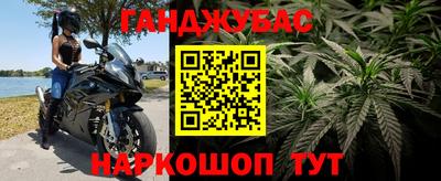 эйфоретик Кингисепп
