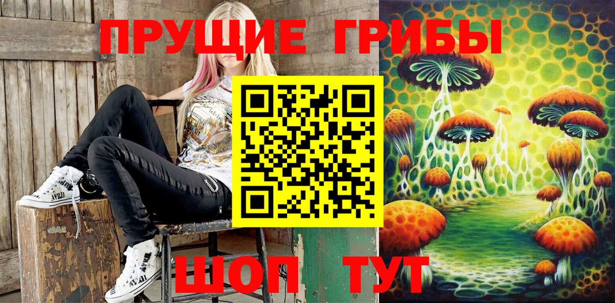 Псилоцибиновые грибы ЛСД  Вход с VPN  Псилоцибиновые грибы прущие грибы  Воткинск 