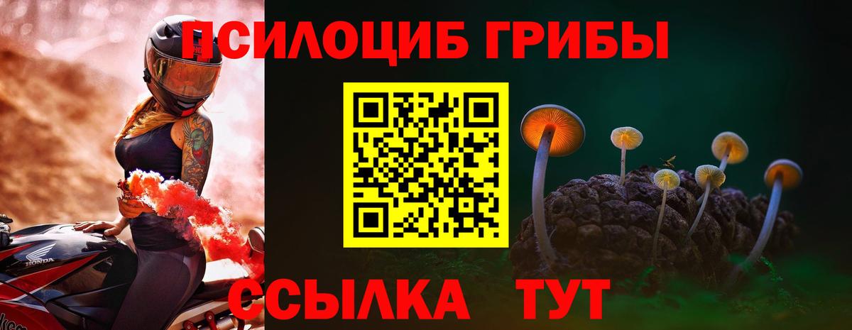 Галлюциногенные грибы Magic Shrooms Воткинск